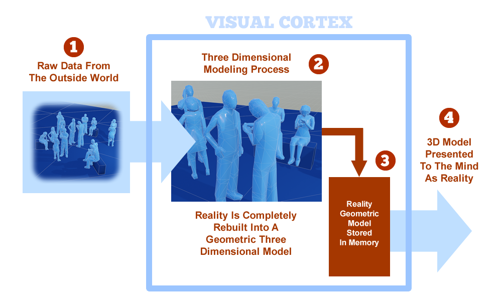 inside the visual cortex