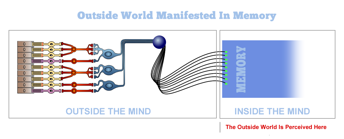 A simplifeid, closeup diagram of how the outside world is manifested in the mind.