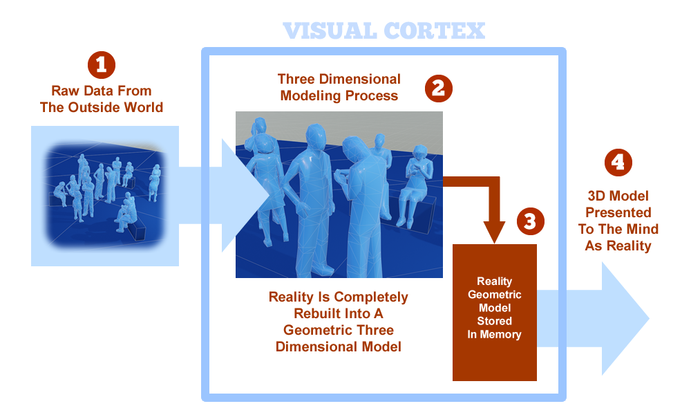 A diagram explaining that the outside world is created in the visual cortex